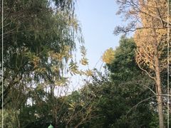 -秋霞圃