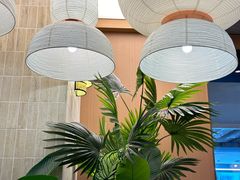 -霸王茶姬(南亚风情第壹城店)