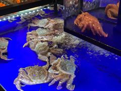 -蟹道乐(道顿堀本店)