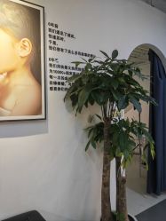 -大连棒棒糖儿童摄影(熊洞街店)