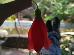 -明月山庄私房菜(环海东路店)