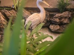 -青泰足浴·SPA养生连锁(新区店)