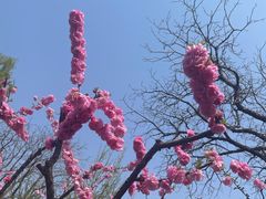 -三里河公园