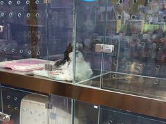 -FAELING PETS美天灵宠物(富力广场店)