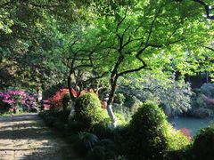 -杭州黄龙洞