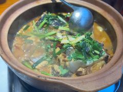 -九道菜有鸡鱼头(石鼓路店)