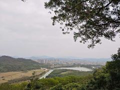 -风云岭森林公园