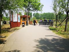 -东郊湿地公园