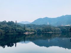 -梧桐山风景名胜区