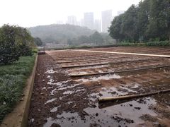 -重庆彩云湖湿地公园