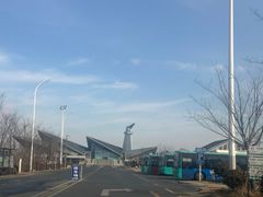 -盐城丹顶鹤湿地生态旅游区