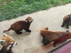 -杭州野生动物世界