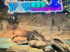 -重庆欢乐海底世界