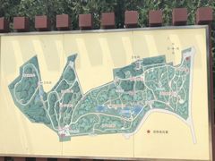 -云岗森林公园