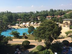 -上海东方佘山翰悦阁酒店·Vie全日制餐厅