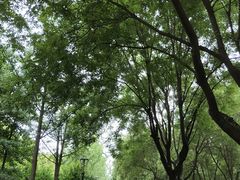 -唐城墙遗址公园
