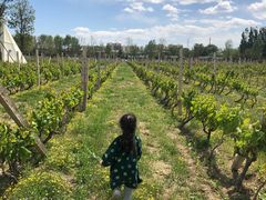 -安德鲁户外烧烤帐篷营地(马泉营店)