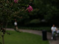 -杭州城北体育公园