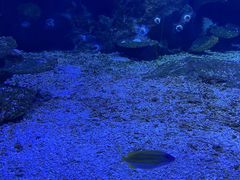 -海合安武汉极地海洋公园