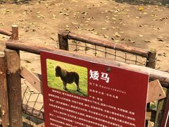 -秀丽东方