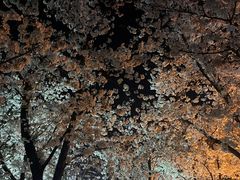 -龙美术馆(西岸馆)
