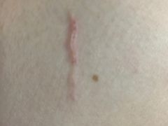 -7天酒店·北京学院路六道口地铁站店