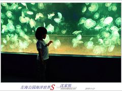 -左海海底世界