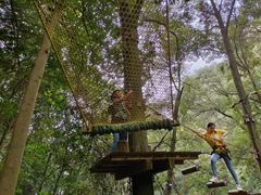 -衢州大荫山丛林飞越探险乐园