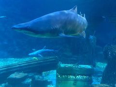 -海合安青岛极地海洋公园