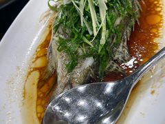 -熠盛粤味·顺德桑拿鸡(永康路店)