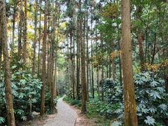 -狼山风景名胜区