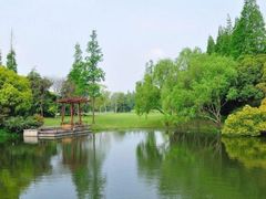 -上海滨江森林公园