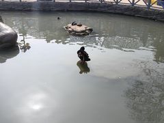 -海合安武汉极地海洋公园