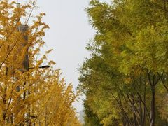 -北京园博大酒店