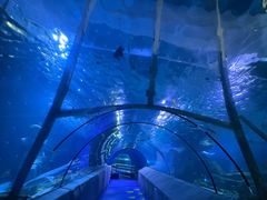 -太平洋海底世界