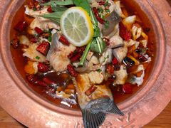 -菌自由丨野生菌火锅特色庭院餐厅(丽江古城店)