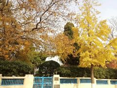 -八大关景区