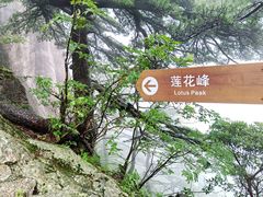 -黄山风景区
