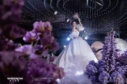-2460婚礼艺术中心