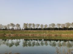 -洨河生态公园