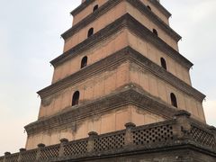 -回坊马二饺子馆