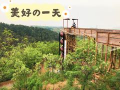 -欢乐松鼠谷