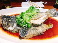 清蒸小石斑鱼-小螺号海鲜·地道鲁菜(泉城广场店)