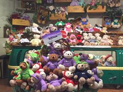 -济州岛泰迪熊博物馆