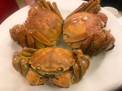 -王宝和酒家(黄浦店)