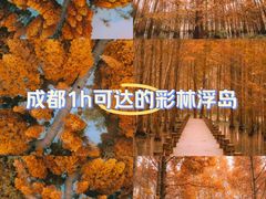 -桤木河湿地公园