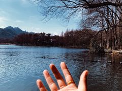 -西湖游船