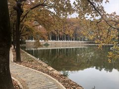 -东湖落雁景区