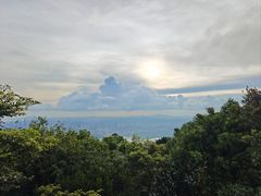 -梧桐山风景名胜区