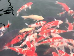 -湖鲜楼